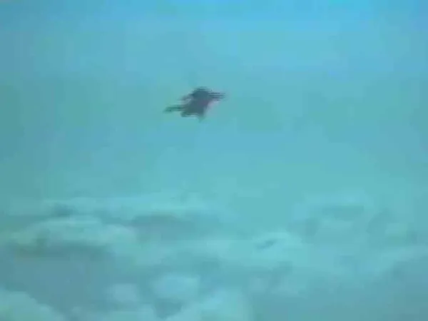 Όταν ο Λέστερ ΜακΓκουάιρ έπεσε στο κενό χωρίς αλεξίπτωτο και κατέγραψε το θάνατό του με κάμερα (βίντεο)