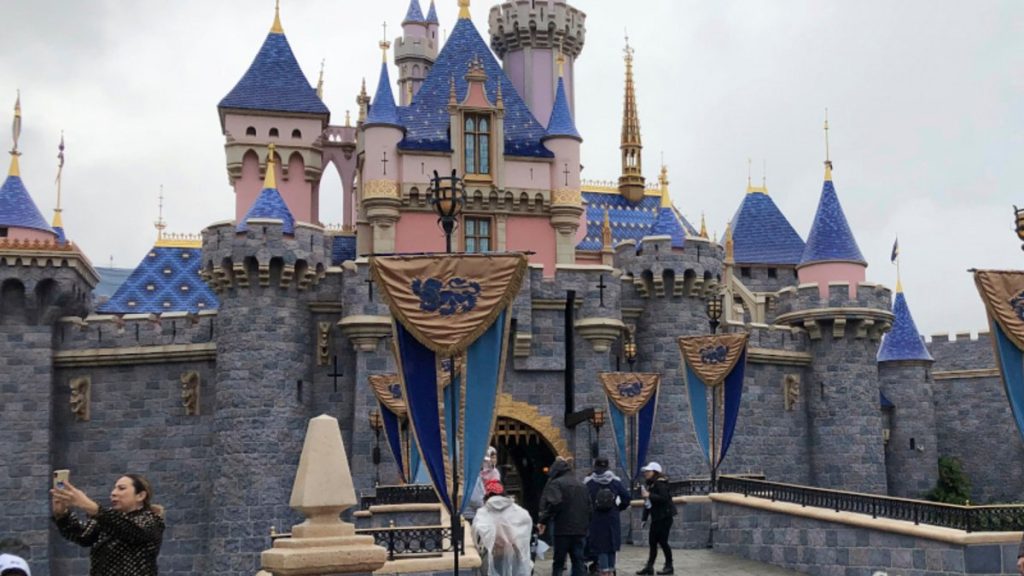 ΗΠΑ: Οικογένειες στη Disneyland «πιάστηκαν στα χέρια» για μια φωτογραφία (βίντεο)