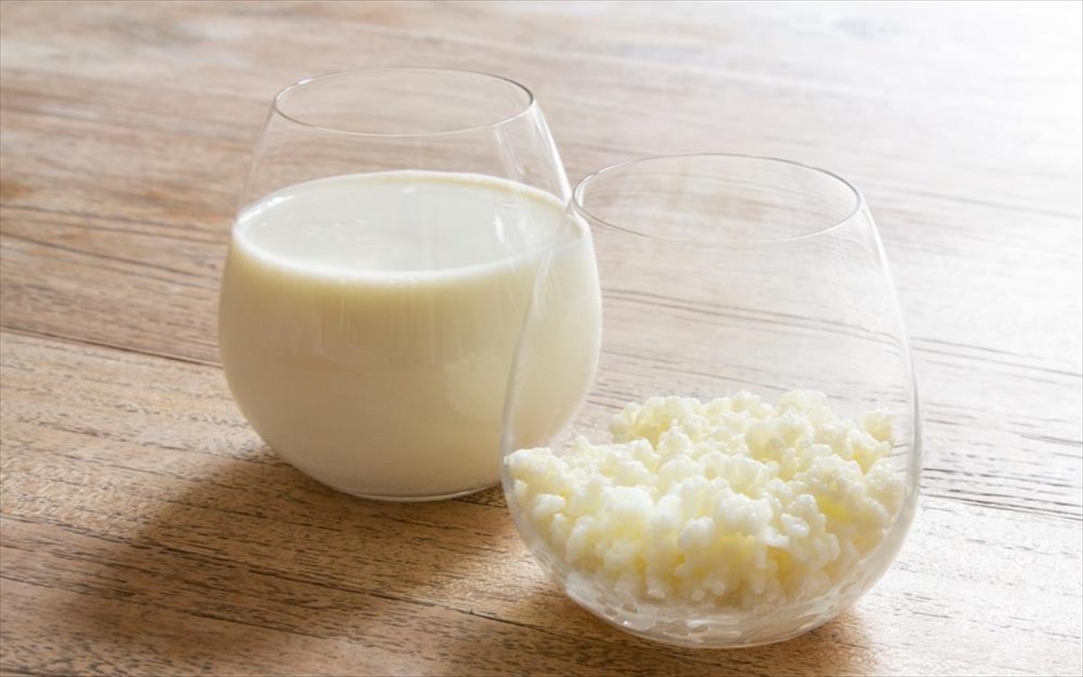 Τα τρόφιμα που έχουν υποστεί ζύμωση θα μπορούσαν να μειώσουν τον κίνδυνο καρκίνου