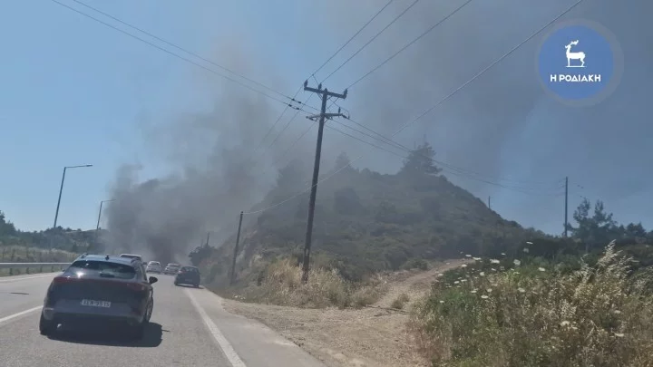 Ρόδος: Τρομακτικό τροχαίο με γουρούνα – Νεκρός ένας 33χρονος