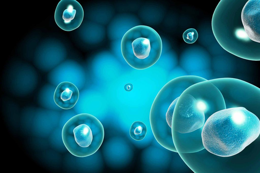 Τι είναι το ουρεόπλασμα; – Αιτίες, συμπτώματα και μετάδοση