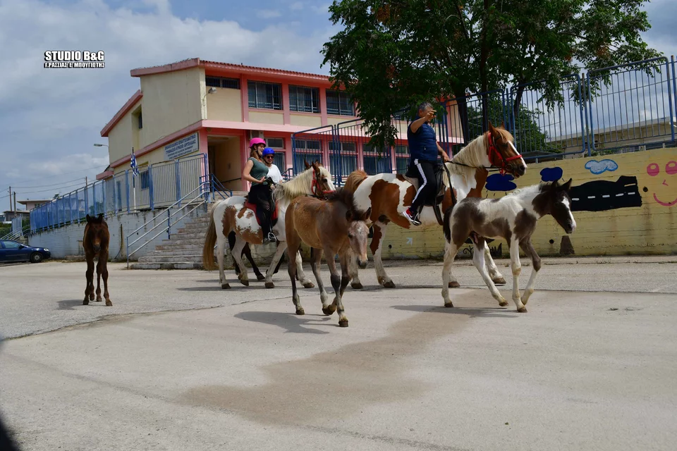 Ναύπλιο: 50χρονος αγρότης πήγε… με άλογα και γαϊδούρια να ψηφίσει (φώτο-βίντεο)