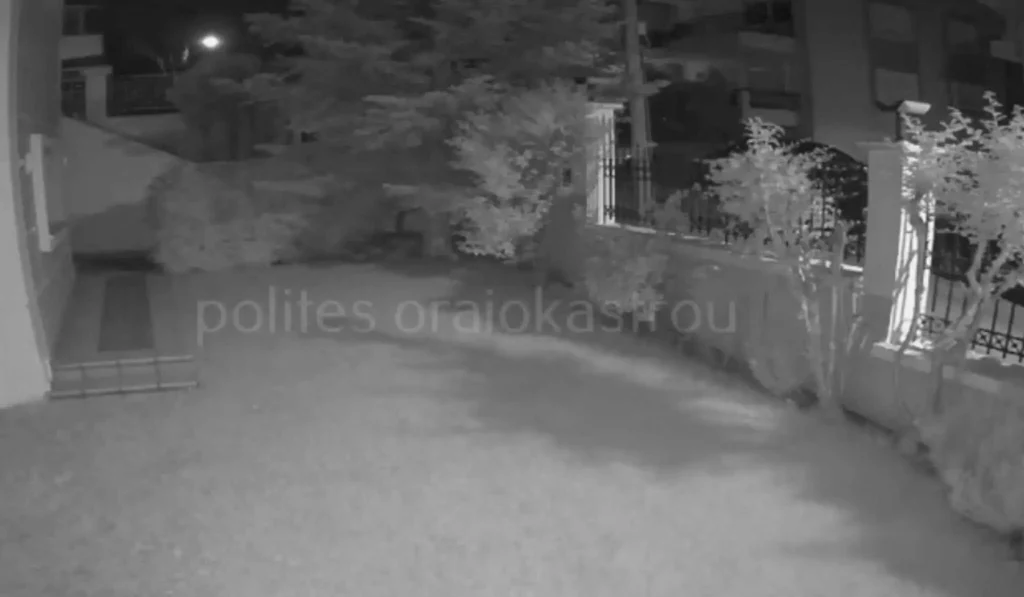 Θεσσαλονίκη: Επιθέσεις με αυγά σε σπίτια – Μήνυση από σύζυγο εγκύου που τρομοκρατήθηκε