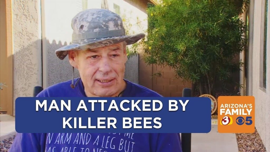 ΗΠΑ: Η τρομακτική στιγμή που 60χρονος δέχεται επίθεση από 1.000 μέλισσες – Τον τσίμπησαν πάνω από 250 φορές