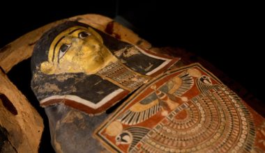 Αίγυπτος: Ανακαλύφθηκαν εργαστήρια που μουμιοποιούσαν ανθρώπους και ιερά ζώα