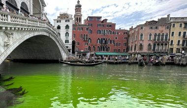 Βενετία: Τι έδειξαν τα αποτελέσματα των αναλύσεων για το καταπράσινο νερό στο Μεγάλο Κανάλι;