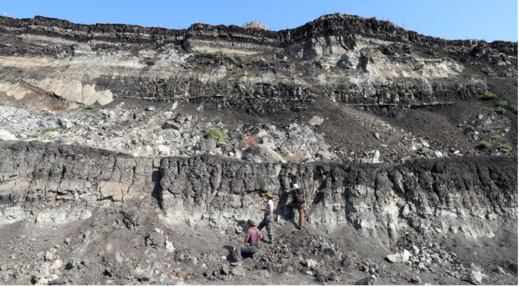 Αρκαδία: Ανακαλύφθηκαν απολιθώματα ελεφάντων και ρινόκερων στο λιγνιτωρυχείο Μεγαλόπολης (φώτο)