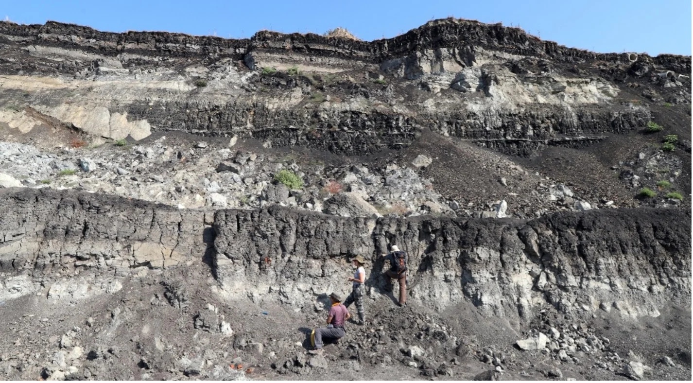 Αρκαδία: Ανακαλύφθηκαν απολιθώματα ελεφάντων και ρινόκερων στο λιγνιτωρυχείο Μεγαλόπολης (φώτο)