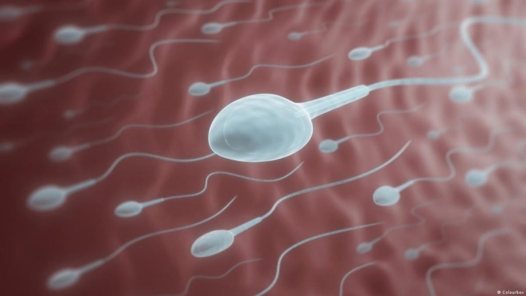 Άνδρες σας ενδιαφέρει: Ποιος είναι ο καλύτερος τρόπος για την παραγωγή υγιούς σπέρματος;