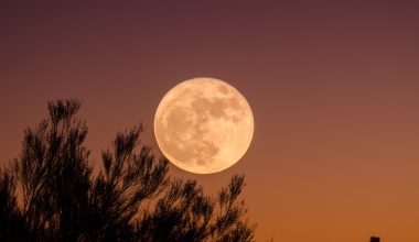 Πανσέληνος Ιουνίου 2023: Πότε θα δούμε το «Φεγγάρι της Φράουλας»