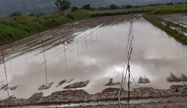 «Άνοιξαν οι ουρανοί» στην Κρήτη: Πλημμύρες και ζημιές στις καλλιέργειες στο Οροπέδιο Λασιθίου (φωτό)
