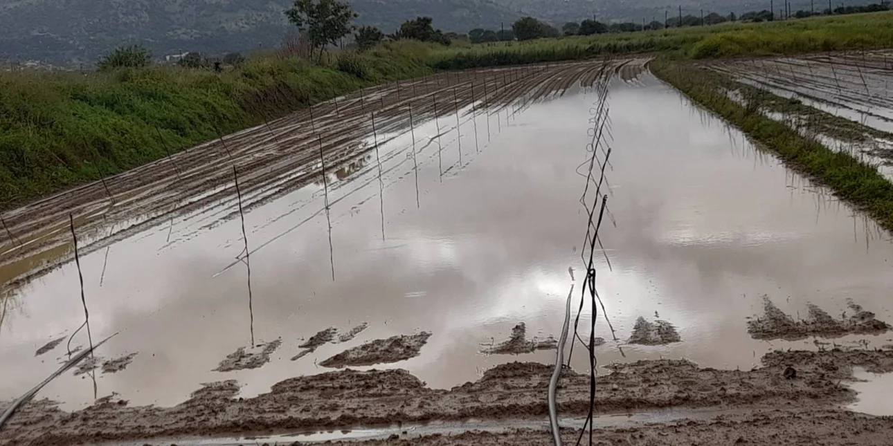 «Άνοιξαν οι ουρανοί» στην Κρήτη: Πλημμύρες και ζημιές στις καλλιέργειες στο Οροπέδιο Λασιθίου (φωτό)