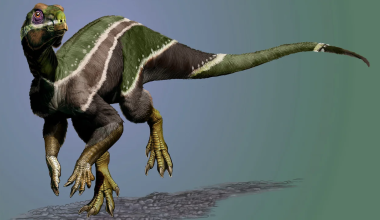 Iani smithi: Το νέο είδος φυτοφάγου δεινόσαυρου που ανακαλύφθηκε στη Γιούτα (φώτο)