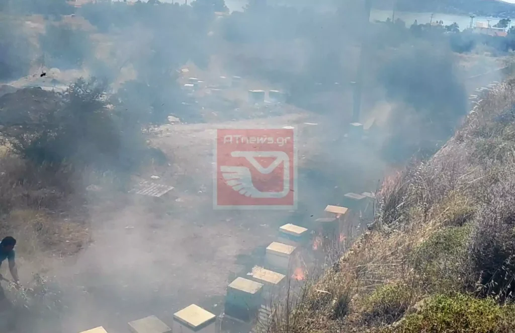 Πυρκαγιά στην Νέα Πέραμο – Καταστράφηκαν μελίσσια