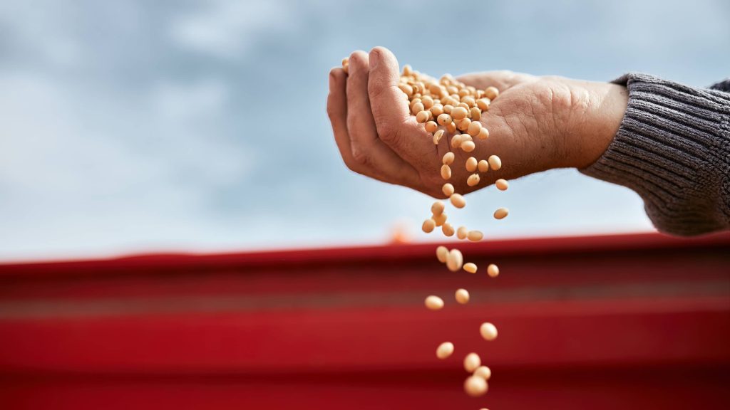 Πρώην πρόεδρος της Green Peace Canada για κλιματική αλλαγή: «Αν μηδενιστούν οι ρύποι οι μισοί άνθρωποι θα πεθάνουν από πείνα και αρρώστιες»!