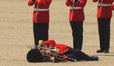 Βρετανία: Στρατιώτες της βασιλικής φρουράς λιποθύμησαν από τη ζέστη κατά τη διάρκεια παρέλασης (βίντεο)