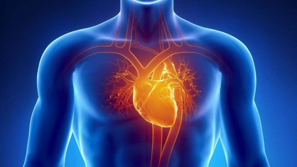 Αυτοί είναι οι 5 τύποι καρδιακής ανεπάρκειας – Ποια η αντιμετώπισή τους