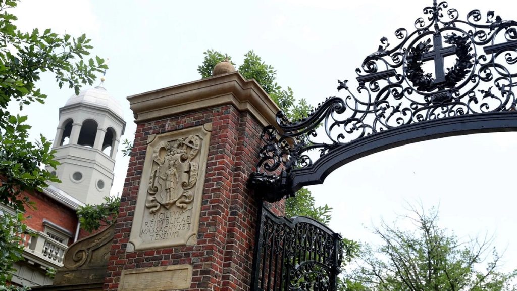 Χάρβαρντ: Ο διευθυντής του νεκροτομείου της σχολής ιατρικής διώκεται για εμπορία ανθρωπίνων οργάνων