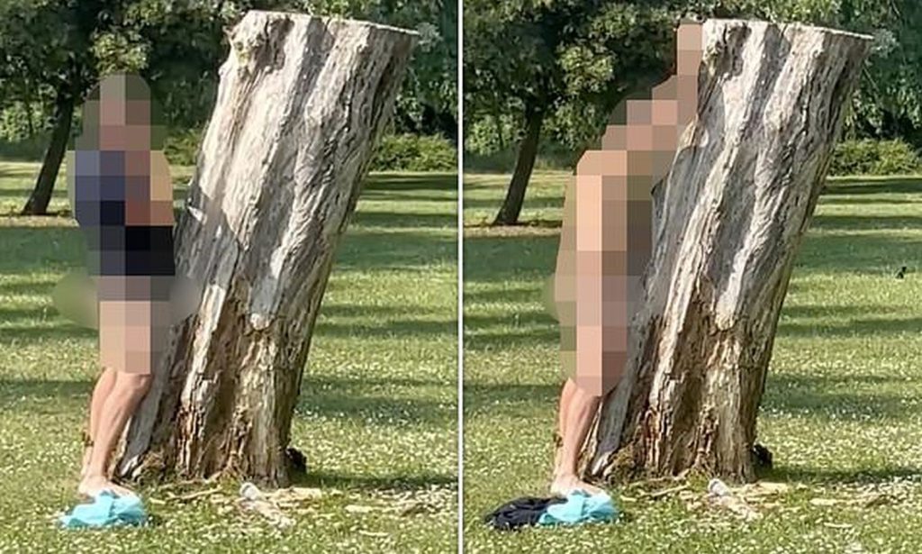 Αγγλία: Συνελήφθη άνδρας γιατί προσπάθησε να κάνει σεξ με δένδρο (φώτο)