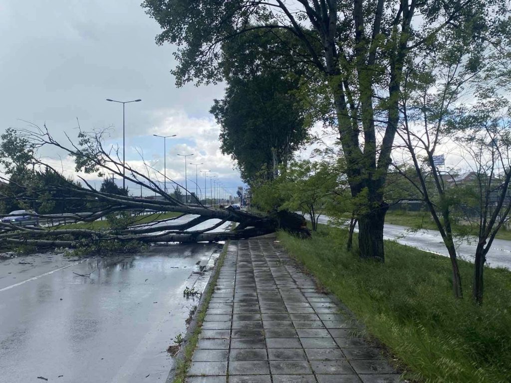 Χαλάνδρι: Δέντρο έπεσε στη μέση του δρόμου