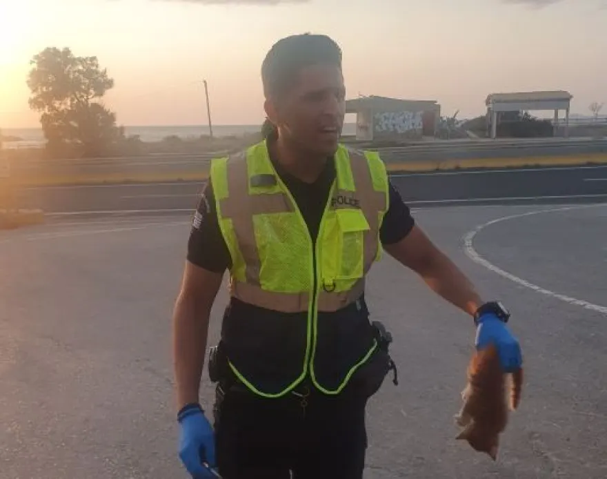 Κρήτη: Αστυνομικός έσωσε γατάκι από τον ΒΟΑΚ – Κινδύνευε να παρασυρθεί (φωτο)