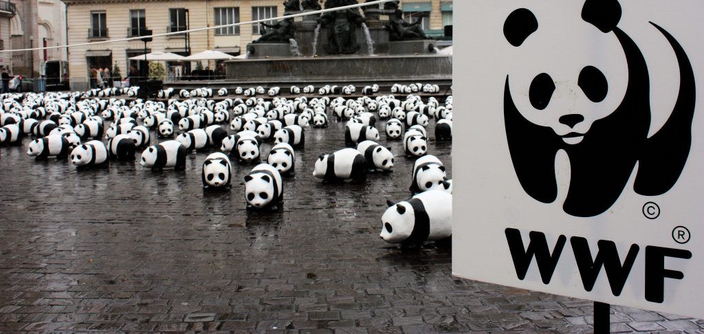 Ρωσία: Και η WWF ανακηρύχθηκε ως «ανεπιθύμητη οργάνωση»