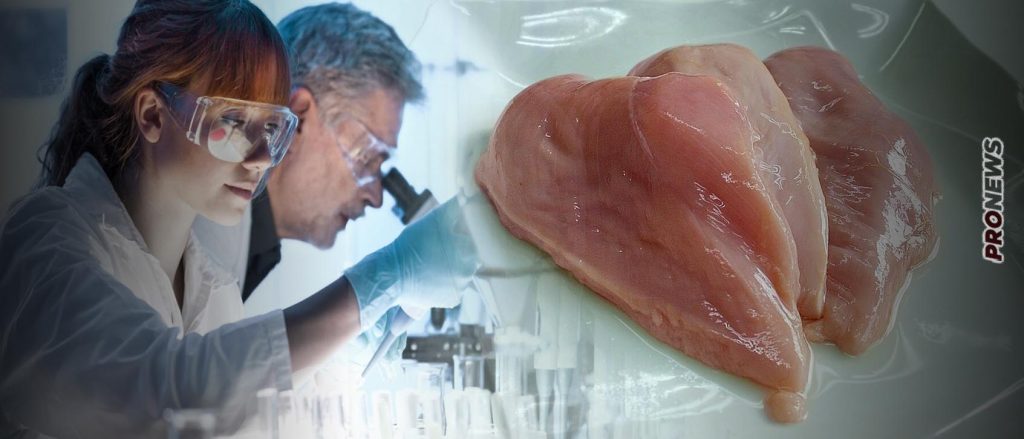 «Θα έρχονται στα πιάτα μας και δεν θα τα τρώμε» – Εγκρίθηκε στις ΗΠΑ η παραγωγή κοτόπουλου στα εργαστήρια από ζωικά κύτταρα!