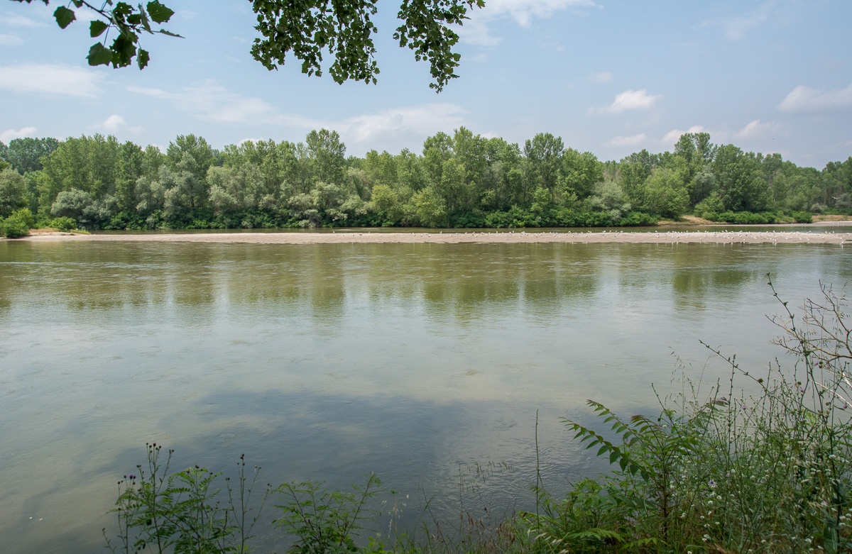 145 παράνομοι μετανάστες βρέθηκαν σε νησίδα του Έβρου στα Μαράσια – Είχε ειδοποιήσει την αστυνομία ΜΚΟ