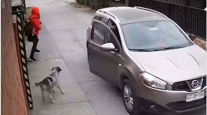 Εντυπωσιακό βίντεο: Ηρωικός σκύλος εμφανίζεται από το πουθενά και σώζει κορίτσι που πήγαν να αρπάξουν