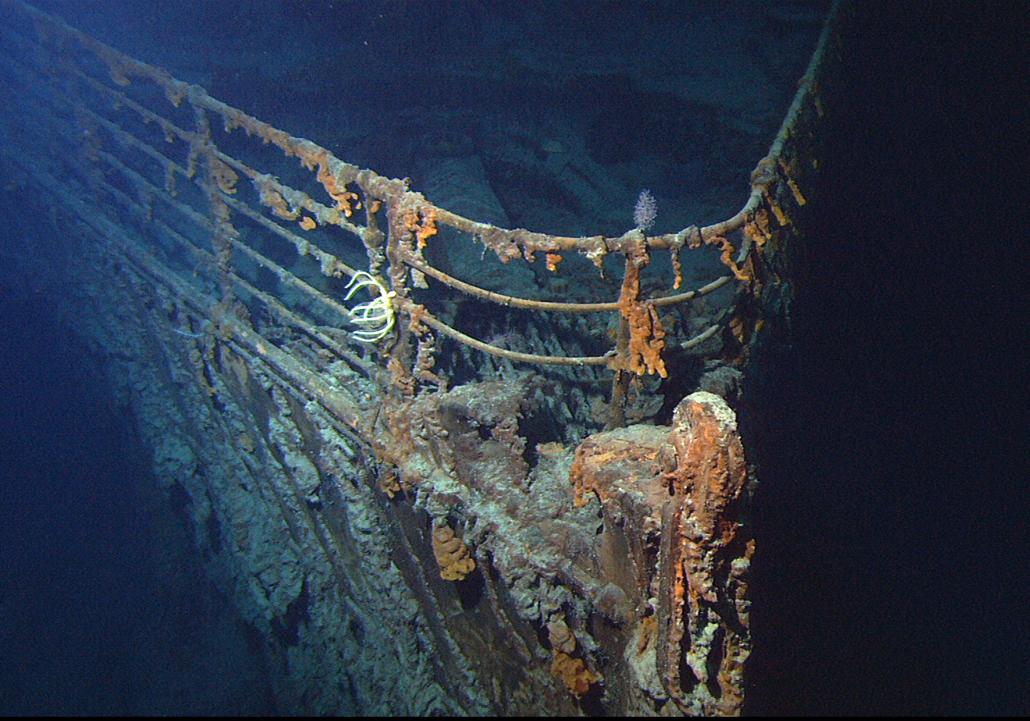 Titanic International Society: «Να σταματήσουν τα ταξίδια στον Τιτανικό»
