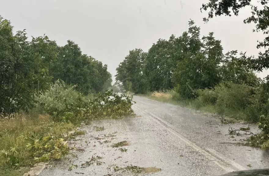 Κακοκαιρία στη Β.Ελλάδα: Θυελλώδεις άνεμοι ξεριζώνουν δέντρα και… κεραμίδια στην Κοζάνη (βίντεο)