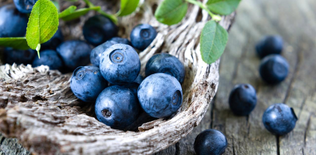 Αξίζουν μια θέση στη διατροφή σας: Αυτά είναι τα οφέλη που έχουν τα μύρτιλα για την υγεία