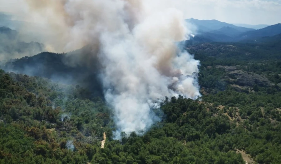 Φωτιά στο δάσος: Το αντίκτυπό της στην υγεία μας – Τι κίνδυνος υπάρχει