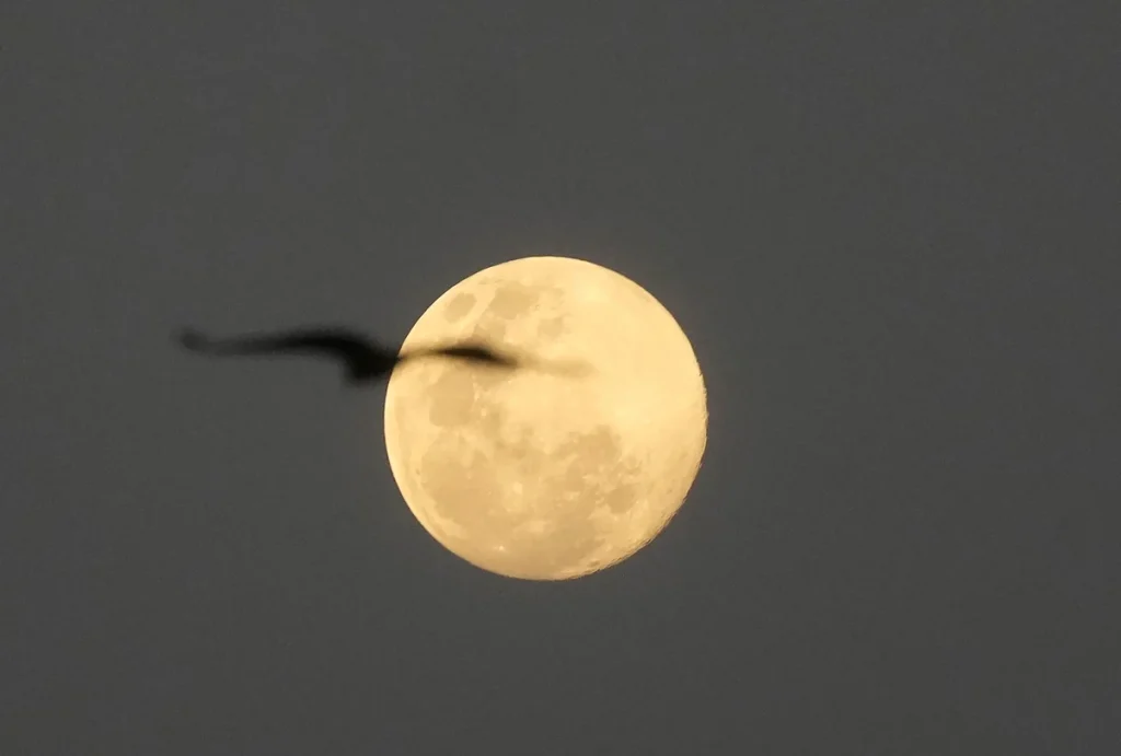 «Φεγγάρι του Ελαφιού»: Γιατί ονομάζεται έτσι η υπερπανσέληνος του Ιουλίου