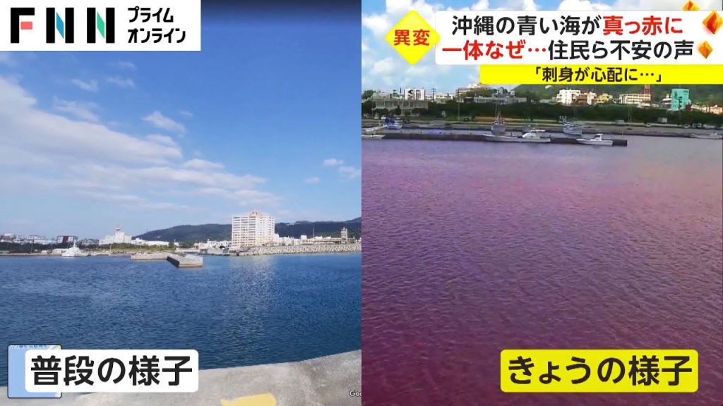 Πώς ένα εργοστάσιο μπίρας έβαψε κόκκινη τη θάλασσα σε πόλη της Ιαπωνίας (βίντεο)