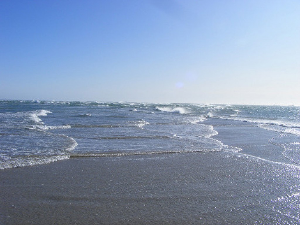 Βαλτική: Μητέρα και ο 7χρονος γιος της σκοτώθηκαν πέφτοντας από ferry boat στη θάλασσα (βίντεο)