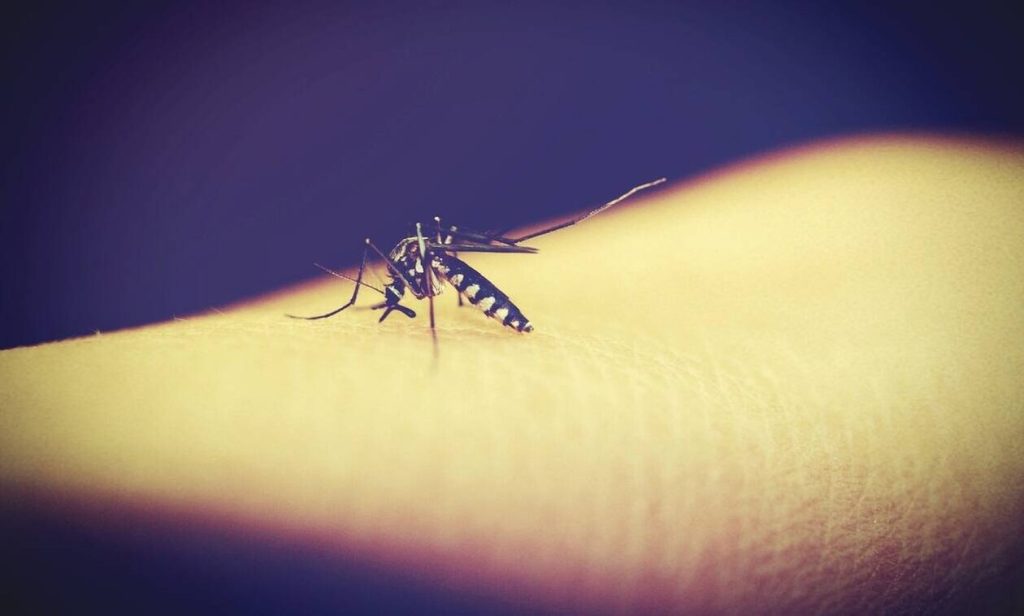 Πόσο ανησυχητική είναι η έξαρση των κουνουπιών στη χώρα μας – Πώς εντοπίζεται η διασπορά τους