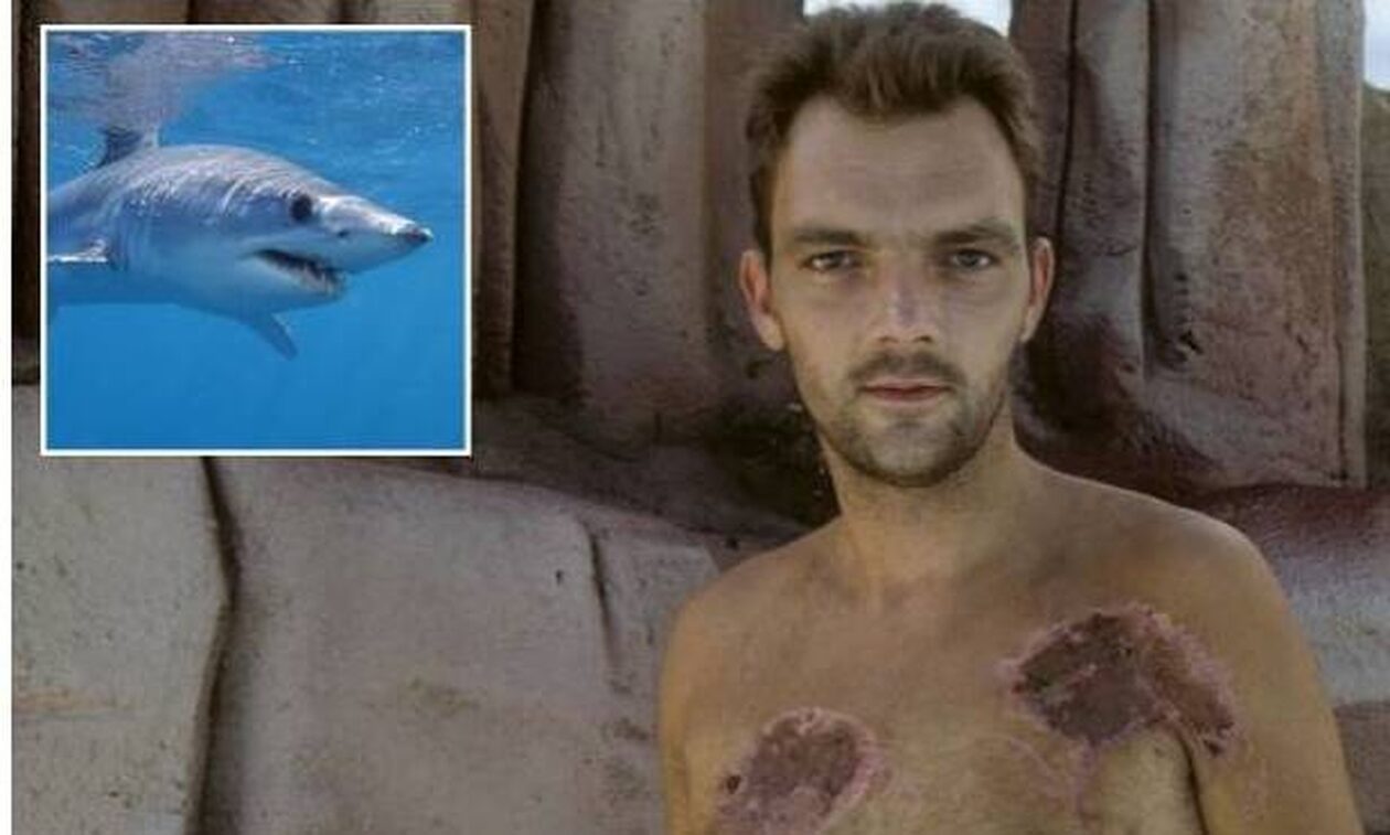 Αίγυπτος: Άνδρας δαγκώθηκε 15 φορές από καρχαρία – Δελφίνια του έσωσαν τη ζωή