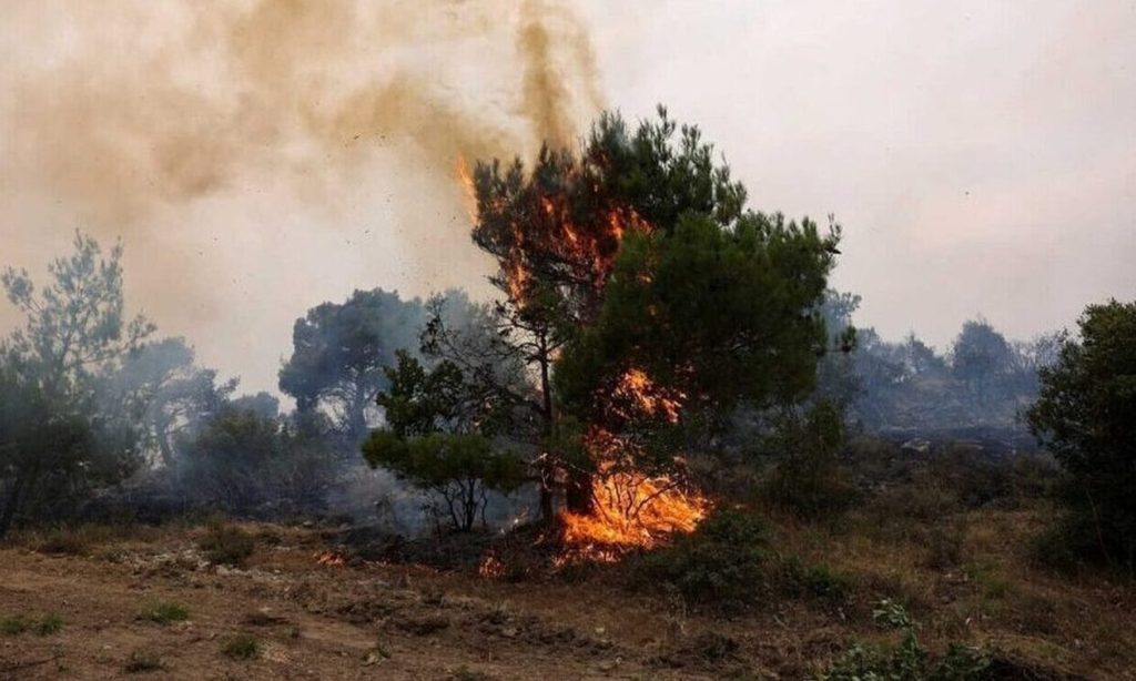 Κρήτη: Φωτιά σε δασική έκταση στο Φαράγγι του Αλμυρού