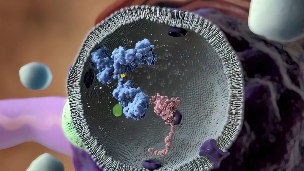 Νέα αποκαλυπτική έρευνα για τον καρκίνο και τη σχέση του DNA