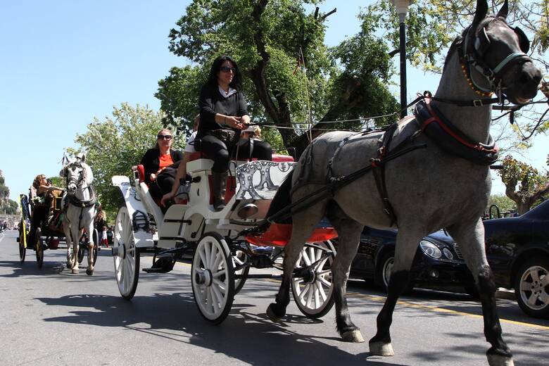Ασύλληπτο περιστατικό στην Κέρκυρα: Άλογο άμαξας που μετέφερε τουρίστες πέθανε στη μέση του δρόμου (φωτό)