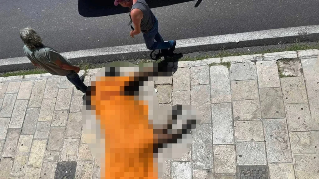 Άρειος Πάγος: Εισαγγελική παρέμβαση για το θάνατο του αλόγου στην Κέρκυρα