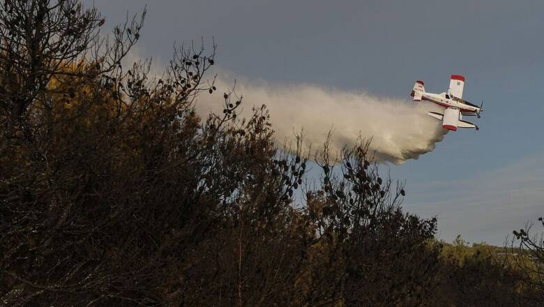 Πυρκαγιά ξέσπασε στο Άγιο Όρος σε δασική έκταση της Μονής Μεγίστης Λαύρας – Ενισχύονται οι δυνάμεις (upd)