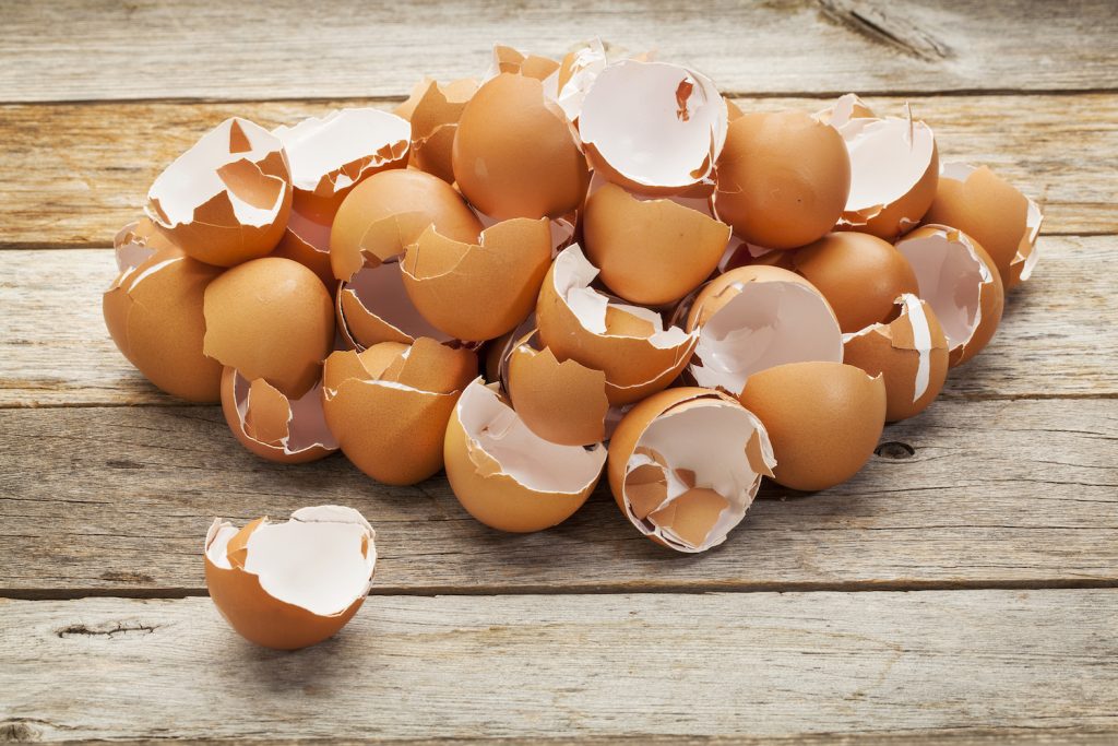 Κι όμως κάπου χρησιμεύουν: Έξι άγνωστες χρήσεις για τα… τσόφλια των αβγών