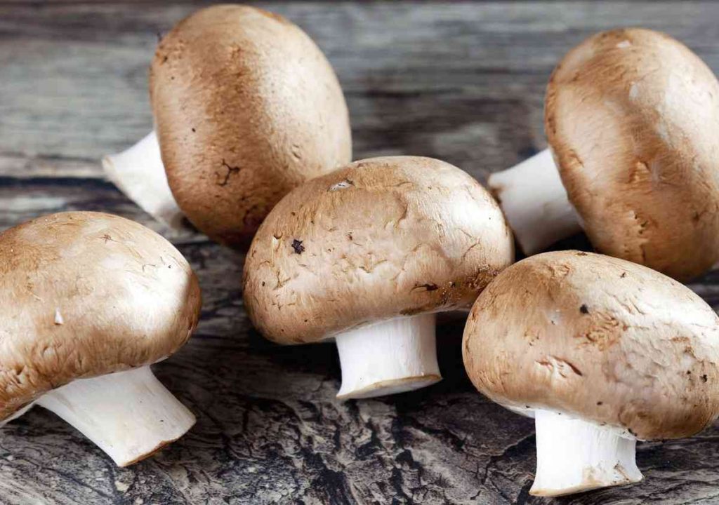 Τα οφέλη που έχουν για την υγεία τα μανιτάρια – Θερμίδες και ιδιότητες