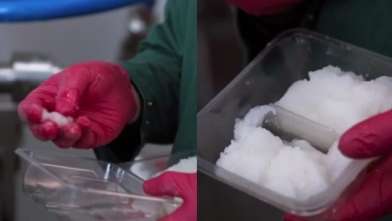 Έμειναν με το «στόμα ανοιχτό» όταν το είδαν: Ντοκιμαντέρ αποκάλυψε πως φτιάχνονται τα λουκάνικα για τους vegan (βίντεο)