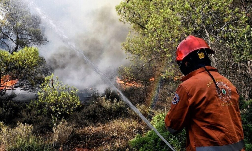 Φωτιά σε δασική έκταση στη Γαρδενίτσα Λακωνίας