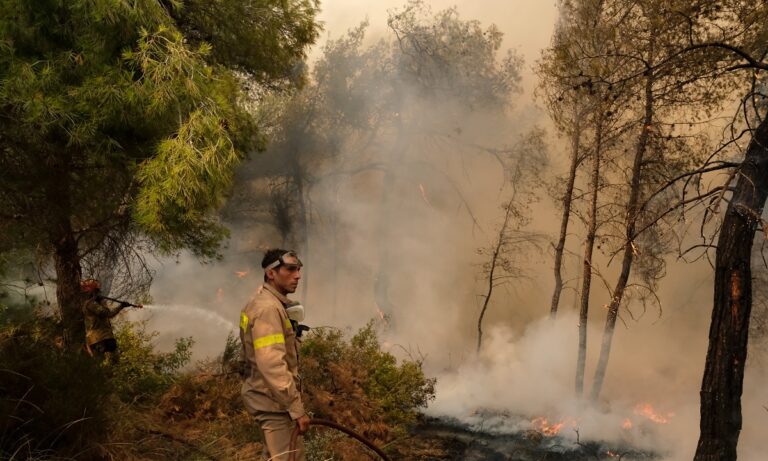 Φωτιά στα Φλάμπουρα Πρέβεζας – Στο σημείο επιχειρούν 19 πυροσβέστες