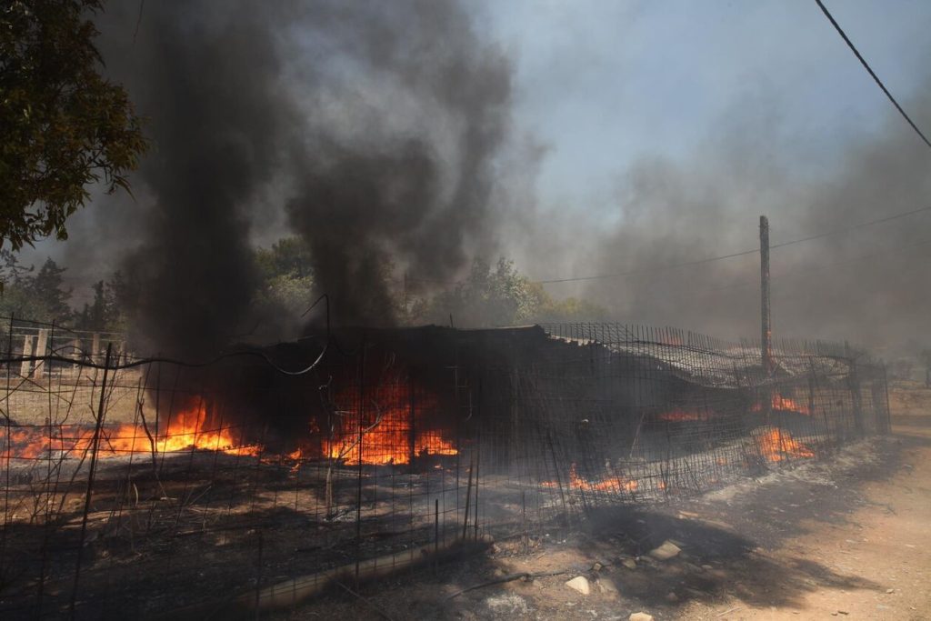 Μεγάλη φωτιά στον Κουβαρά Αττικής: Παραδόθηκαν στις φλόγες τα πρώτα σπίτια – 20 τα ενεργά μέτωπα