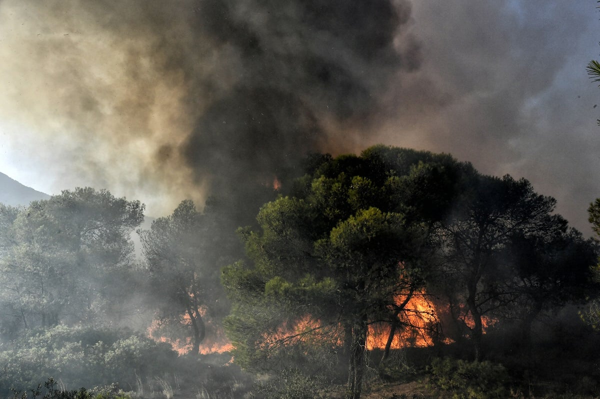 Οριοθετήθηκε η φωτιά στη Βόλβη Θεσσαλονίκης